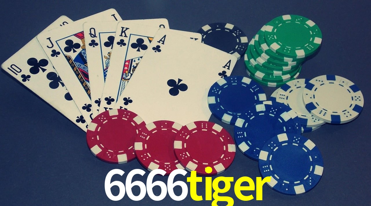Player Reviews 6666tiger
