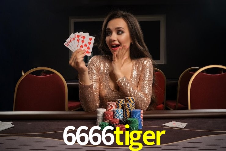 PIX Instantâneo 6666tiger