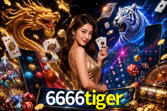 Sports Statistics 6666tiger