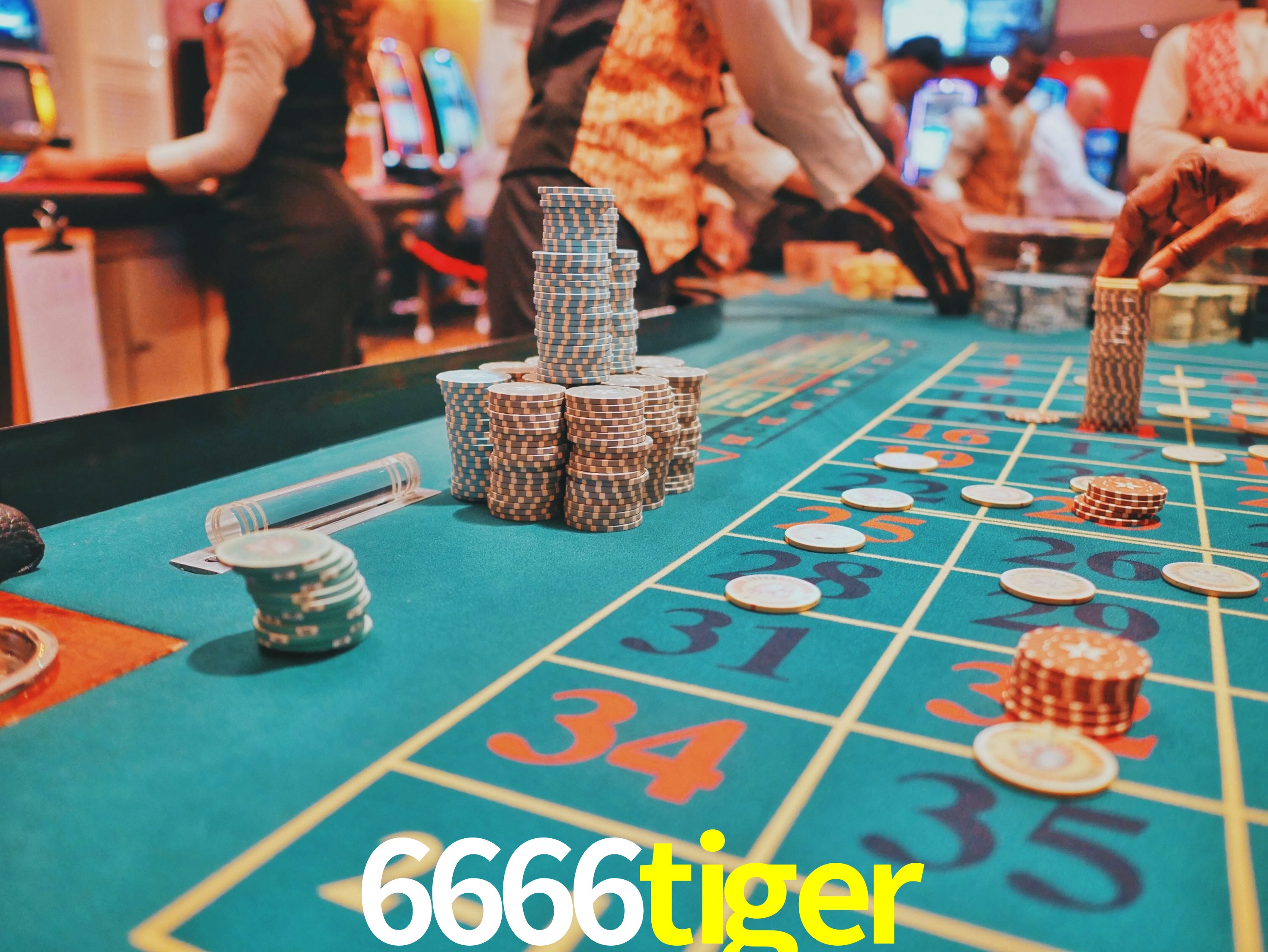 Mesa de Roleta 6666tiger